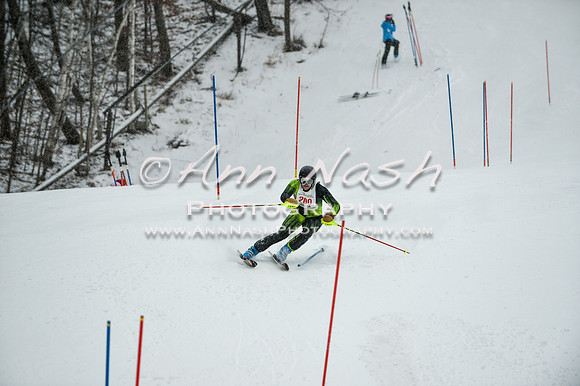 2015 December 18 alpine DSC_9261