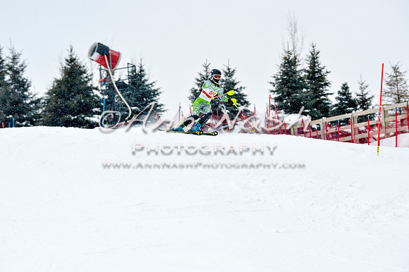 2016 January 22 alpine DSC_1283