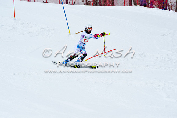 2016 January 22 alpine DSC_1014