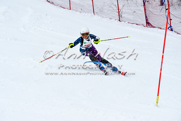 2016 January 22 alpine DSC_0940