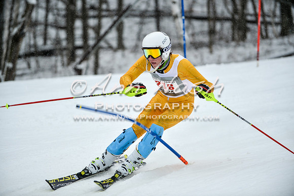 2015 December 18 alpine DSC_9309