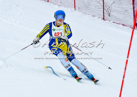 2016 January 22 alpine DSC_0576