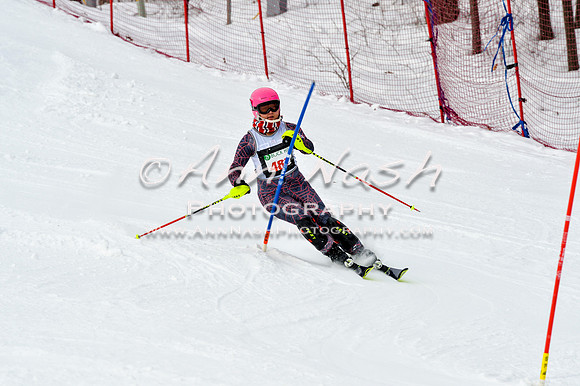 2016 January 22 alpine DSC_1773