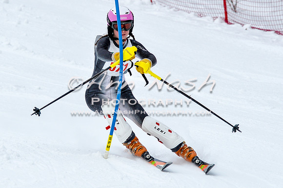 2016 January 22 alpine DSC_0754