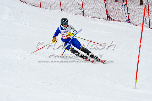 2016 January 22 alpine DSC_1853