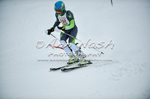 2015 December 18 alpine DSC_8960