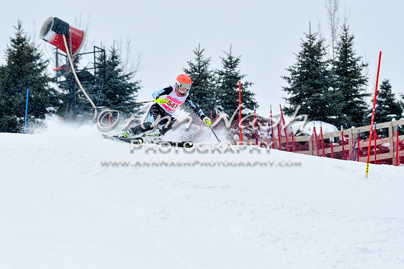 2016 January 22 alpine DSC_0714