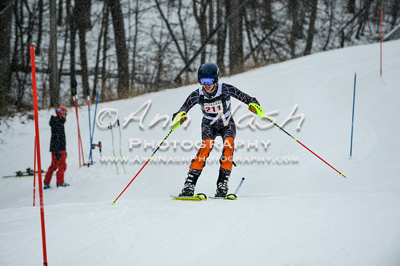 2015 December 18 alpine DSC_9297
