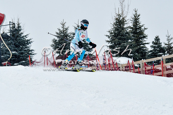 2016 January 22 alpine DSC_1188