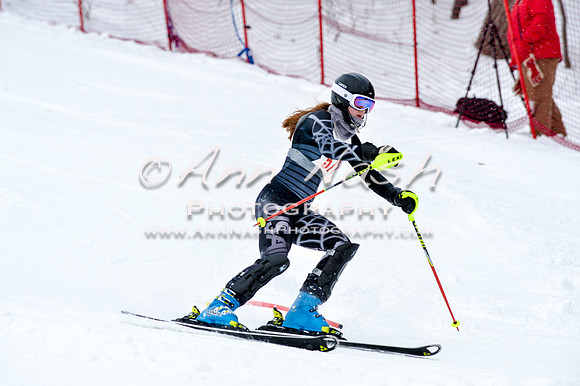 2016 January 22 alpine DSC_0956