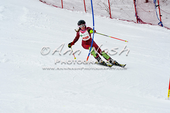 2016 January 22 alpine DSC_1873