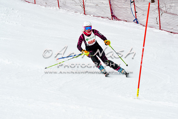 2016 January 22 alpine DSC_1683