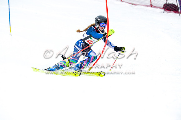 2016 January 22 alpine DSC_1075