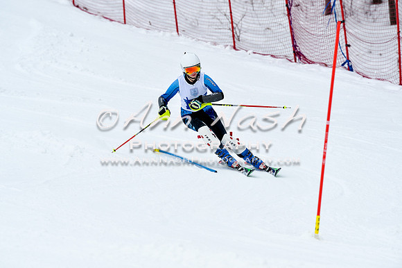 2016 January 22 alpine DSC_0889