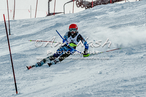 2016 February 14 alpine DSC_7137