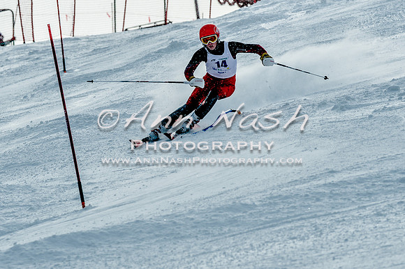2016 February 14 alpine DSC_6846