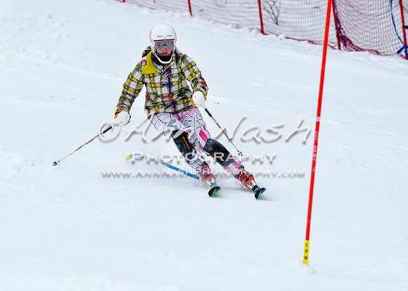 2016 January 22 alpine DSC_0561