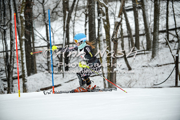 2015 December 18 alpine DSC_9245