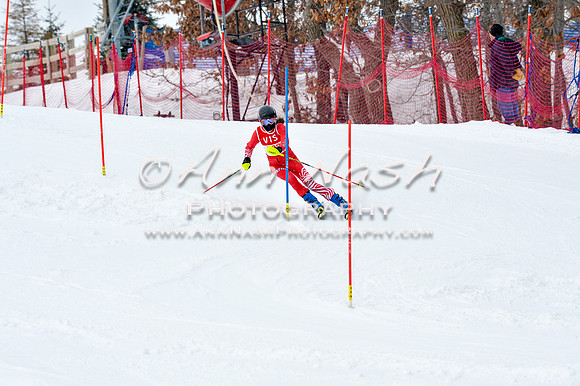 2016 January 22 alpine DSC_1177
