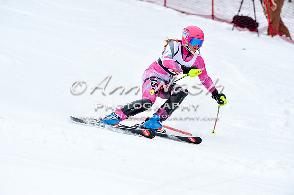 2016 January 22 alpine DSC_0866