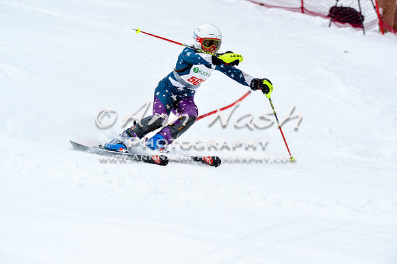 2016 January 22 alpine DSC_0942