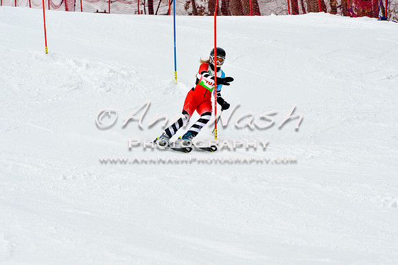 2016 January 22 alpine DSC_1744