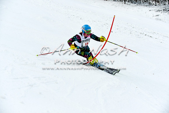 2015 December 18 alpine DSC_9652