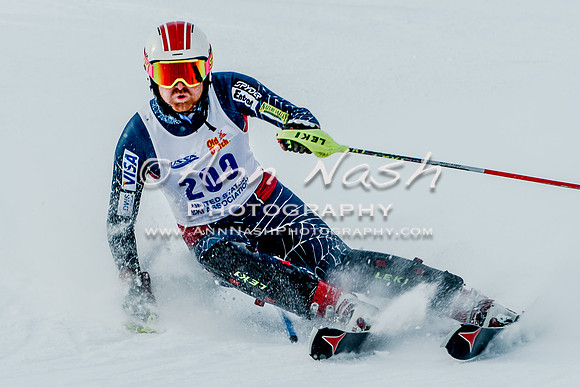 2016 February 14 alpine DSC_7237-2