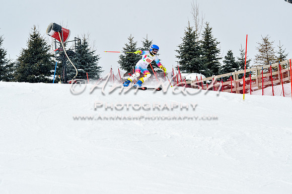 2016 January 22 alpine DSC_1627