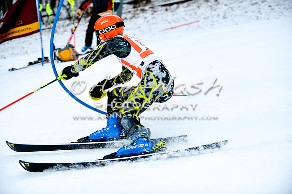2015 December 18 alpine DSC_9734