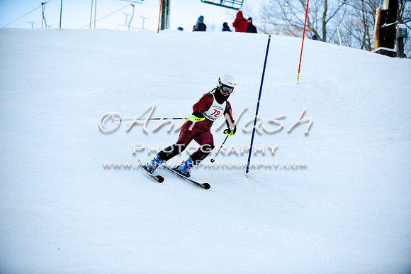 2015 December 18 alpine DSC_0088