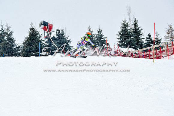 2016 January 22 alpine DSC_1118