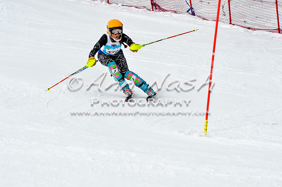 2016 January 22 alpine DSC_1767