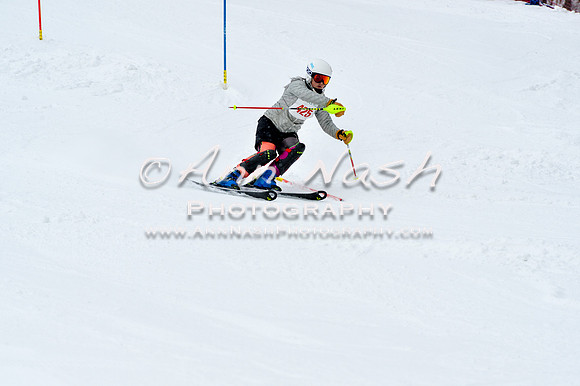 2016 January 22 alpine DSC_1409