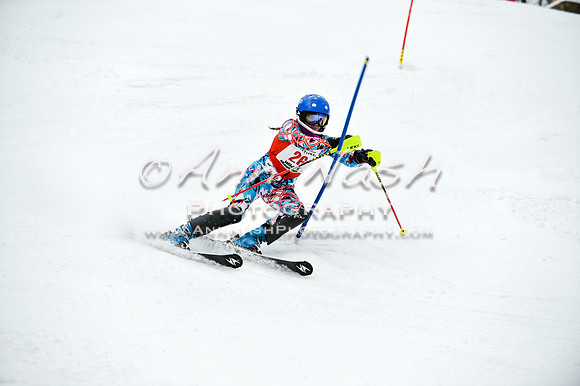 2015 December 18 alpine DSC_9513