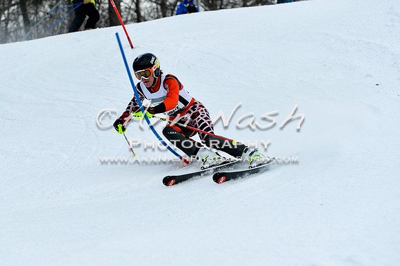 2015 December 18 alpine DSC_9781