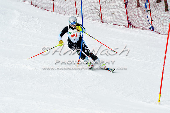 2016 January 22 alpine DSC_1753