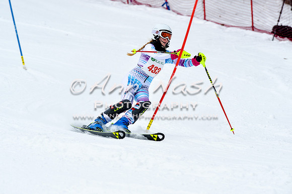 2016 January 22 alpine DSC_1016