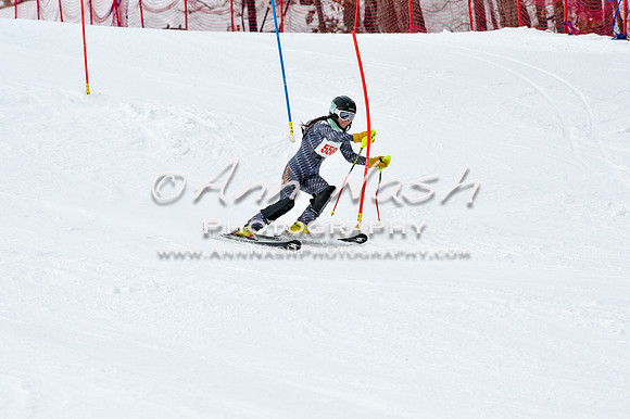 2016 January 22 alpine DSC_1936
