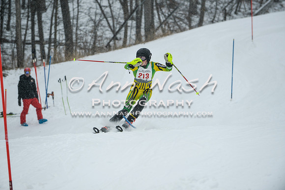 2015 December 18 alpine DSC_9302