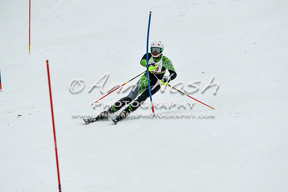 2015 December 18 alpine DSC_9447