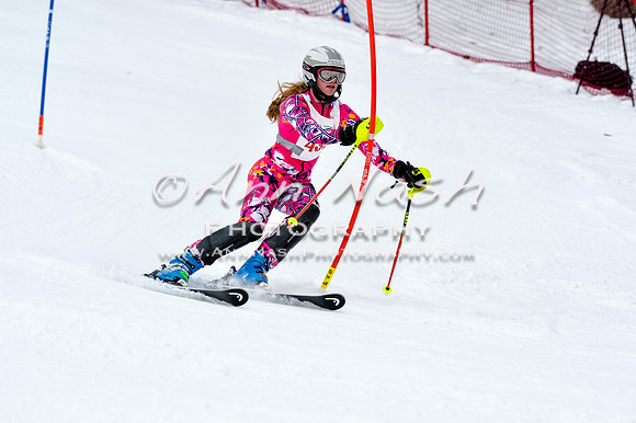 2016 January 22 alpine DSC_1427
