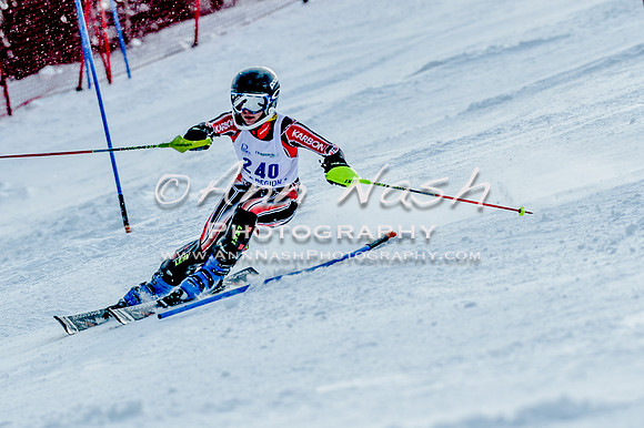 2016 February 14 alpine DSC_7545