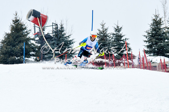 2016 January 22 alpine DSC_0887