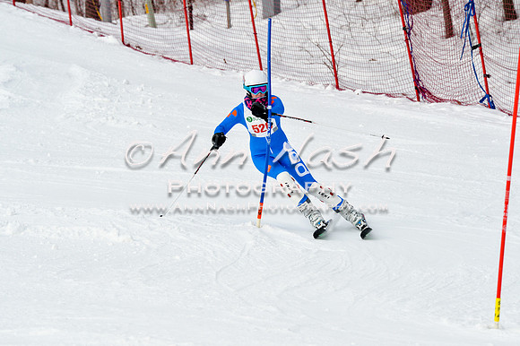 2016 January 22 alpine DSC_1659