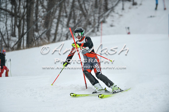 2015 December 18 alpine DSC_9315