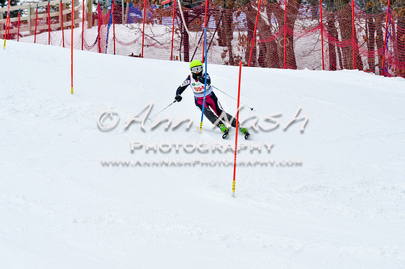 2016 January 22 alpine DSC_1320
