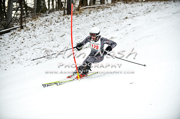 2015 December 18 alpine DSC_9509