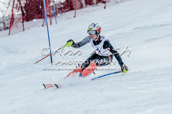 2016 February 14 alpine DSC_6602