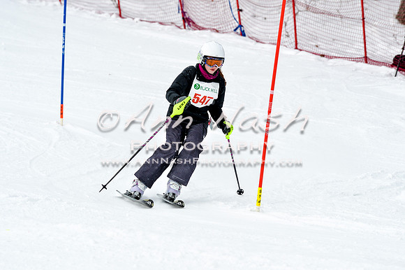 2016 January 22 alpine DSC_1813